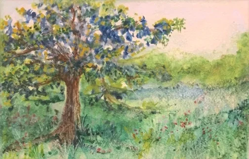 Trees  - march 3 