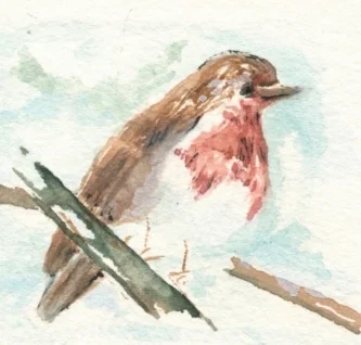 Snowy Day    march 4