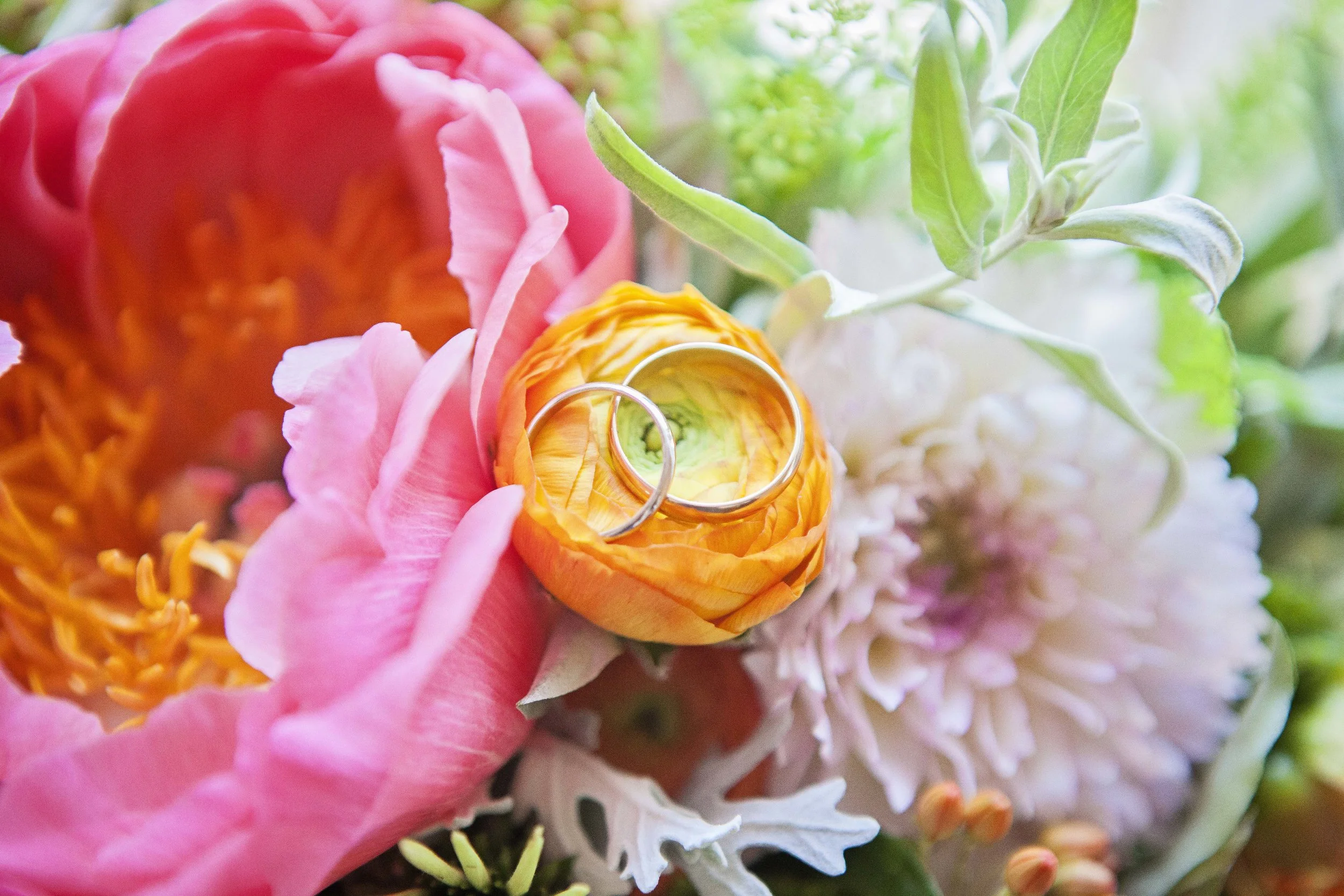 Photo credit: Ann-Marie VanTassell Photography