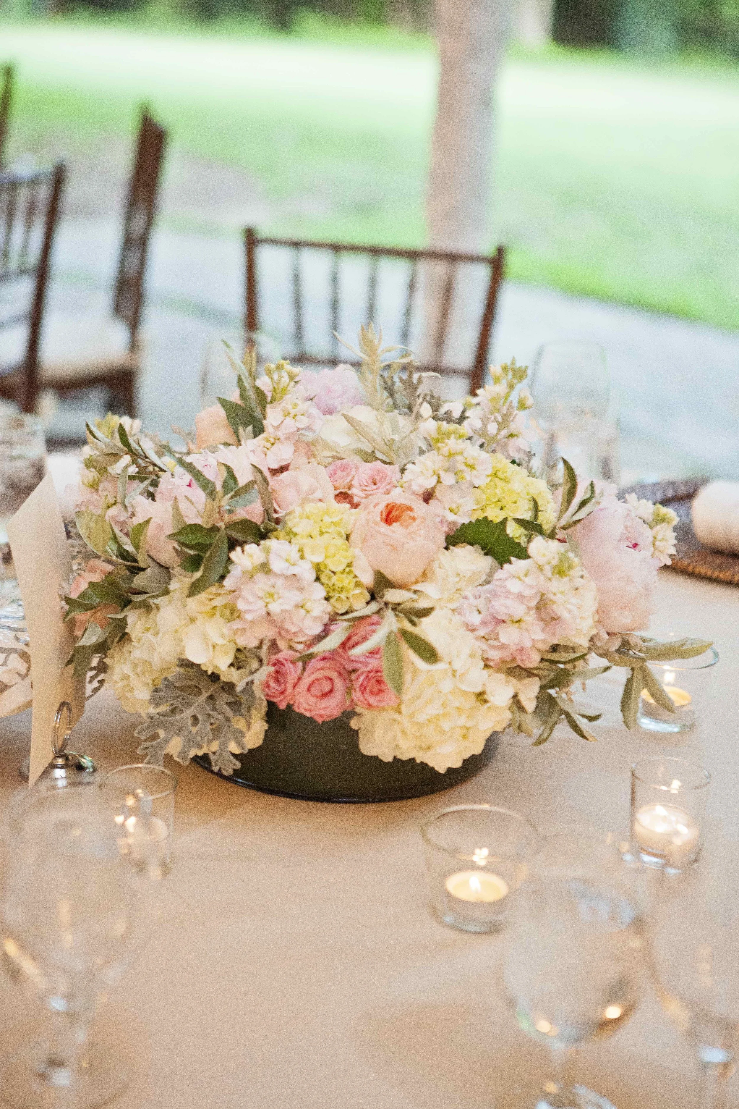 Photo credit: Ann-Marie VanTassell Photography