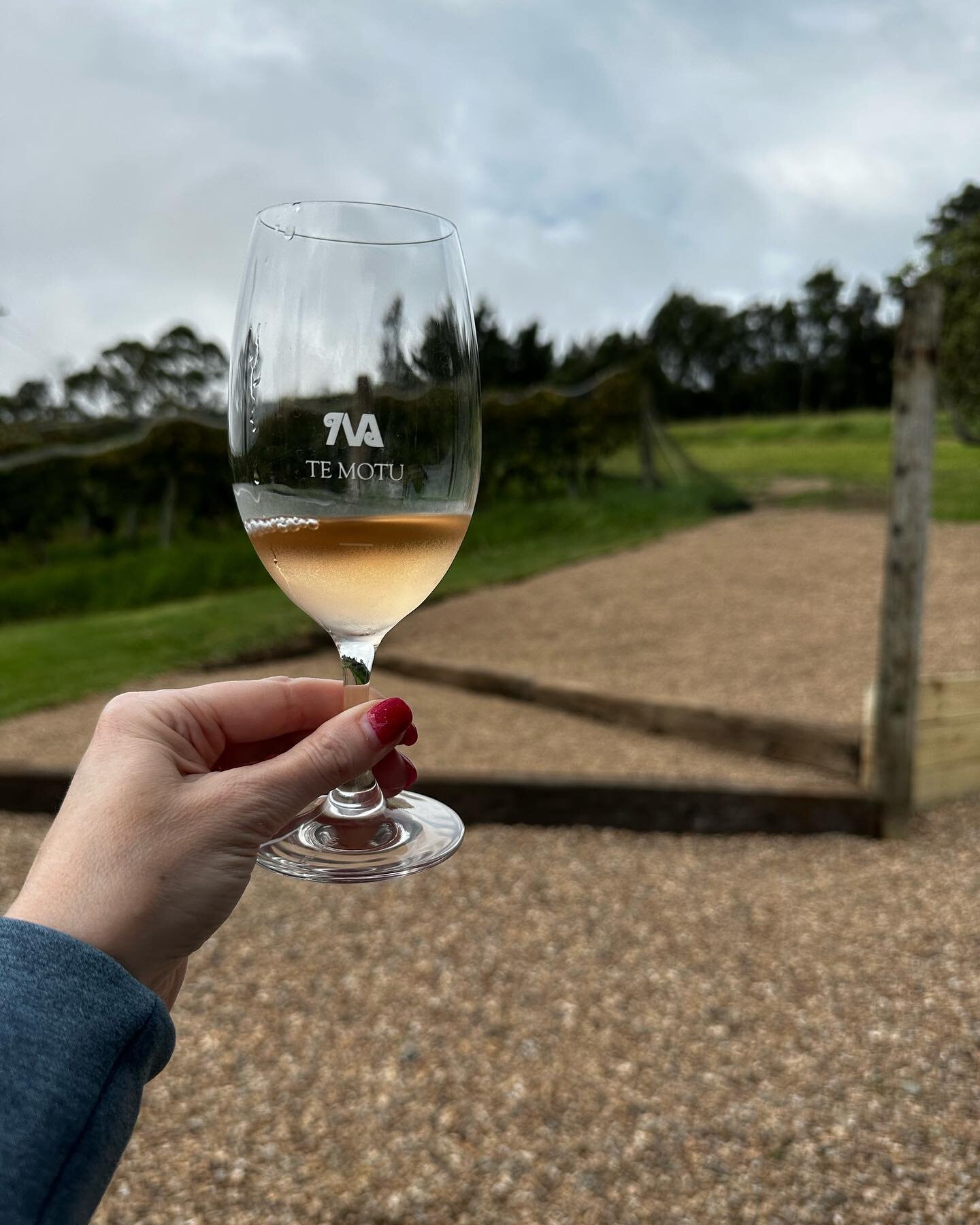 Yesterday was our first day of New Zealand wine-tasting. We took a ferry out to Waiheke Island (off the coast of Auckland) and then visited four wineries and had lunch.

The weather here is extremely changeable, lol. In one day it was cloudy, then su