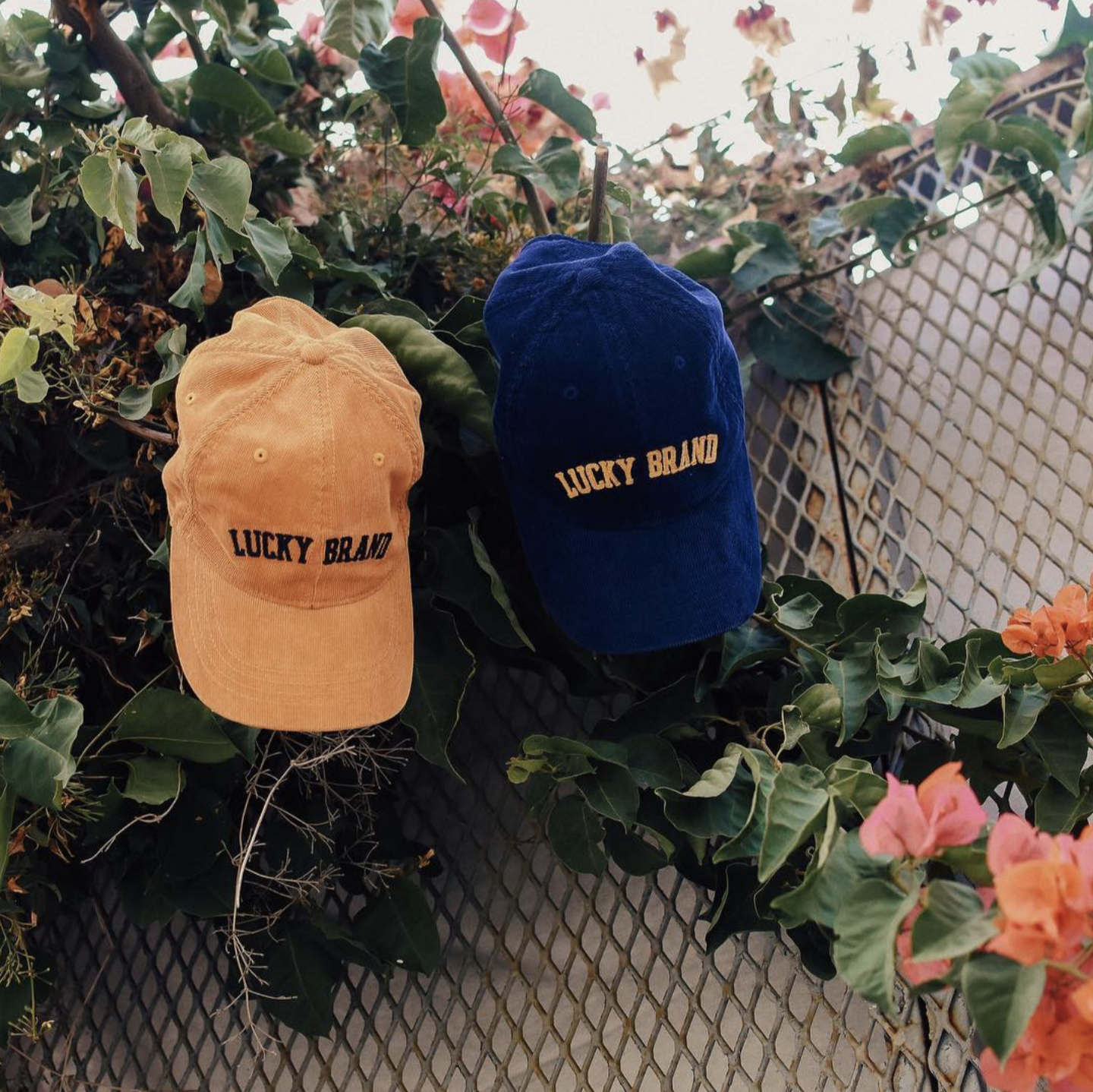 03  /  Men's Baseball Hats