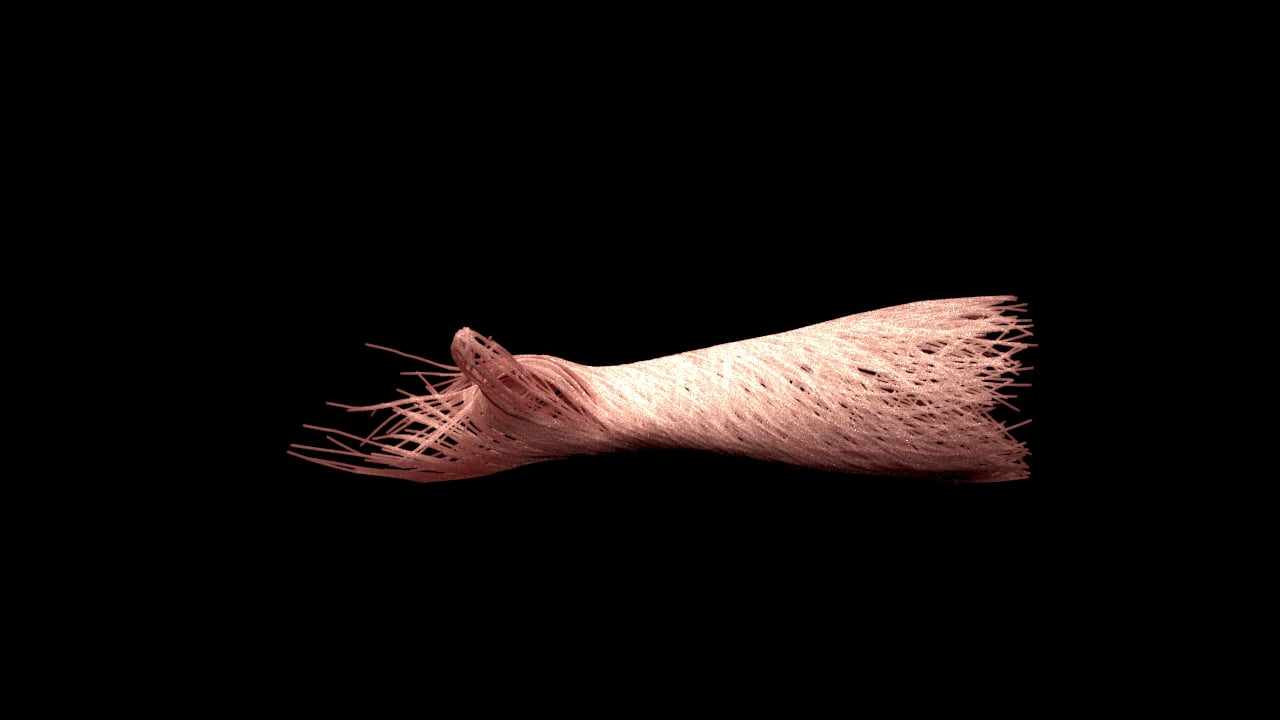 Arm_RnD__SkinGrow_Fibers_V06