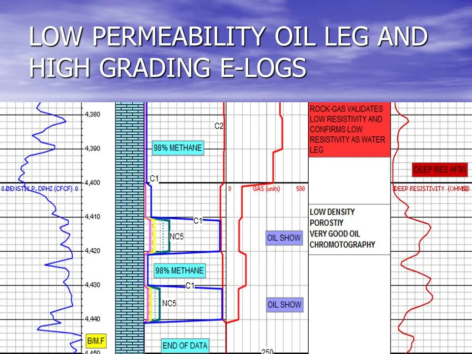 Rethinking Drill Cuttings - William D. Chandler(16).JPG