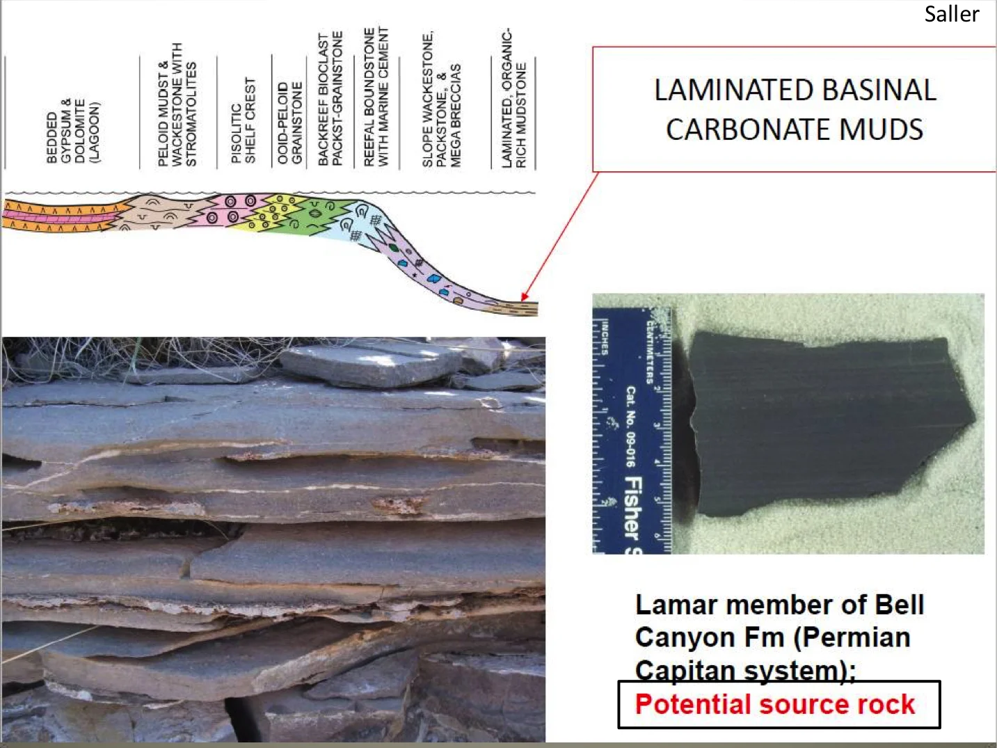 Carbonates 63.jpg