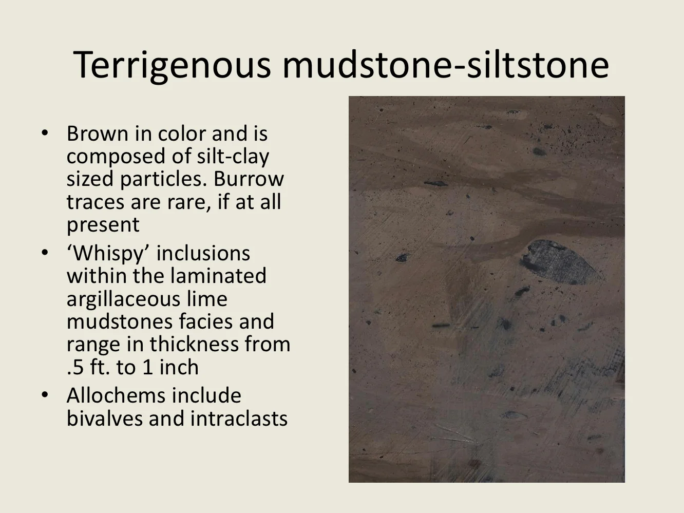 Houston Trough_Peter Soto-Kerans_Slide 21.jpg