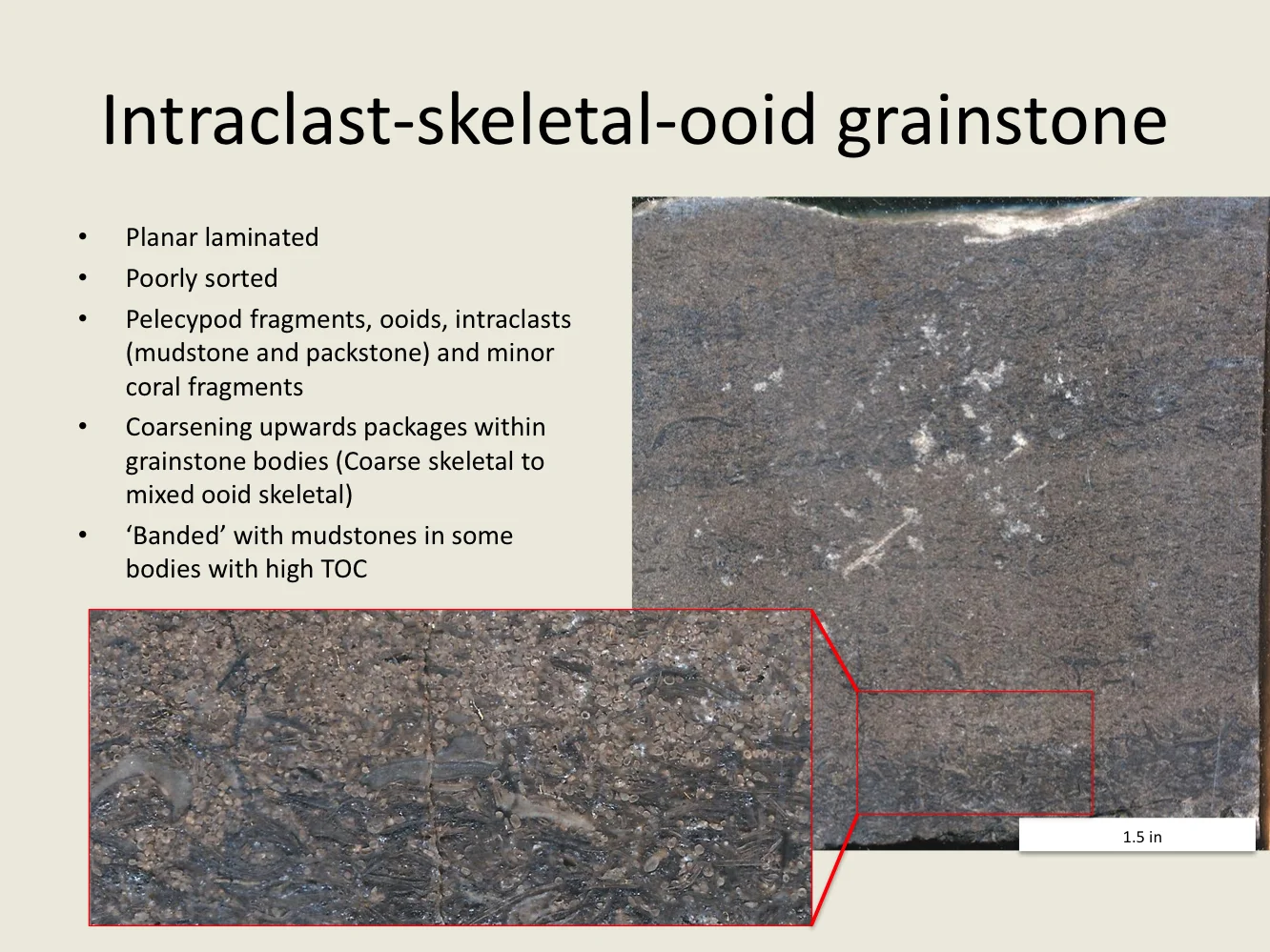 Houston Trough_Peter Soto-Kerans_Slide 23.jpg