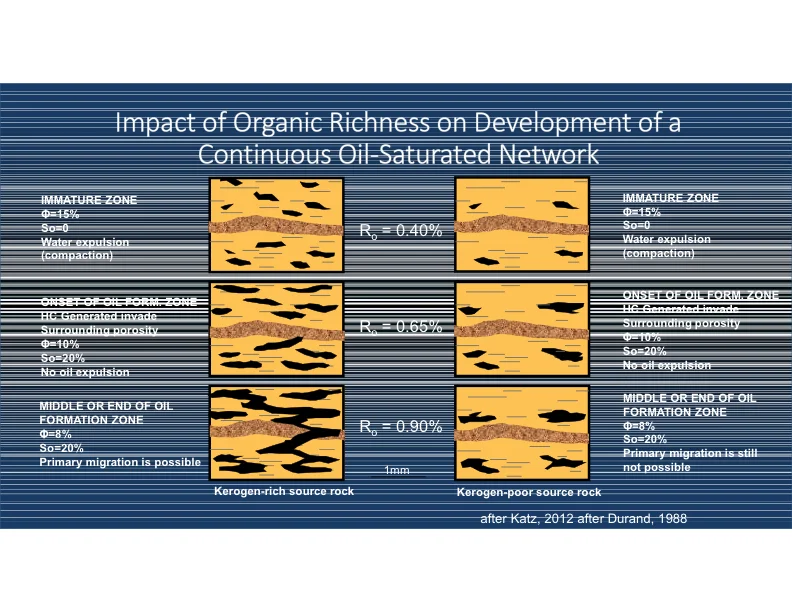 Our Current Working Model for Unconventional Tight Petroleum Systems - Slide 11.jpg