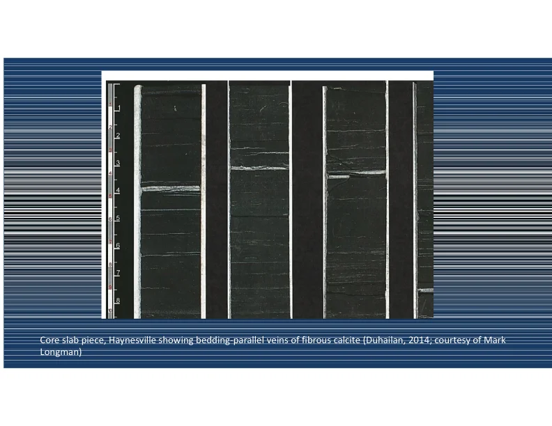 Our Current Working Model for Unconventional Tight Petroleum Systems - Slide 26.jpg