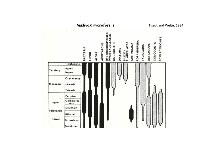 Mudrock Plays - What We Think We Know - Slide 39.jpg