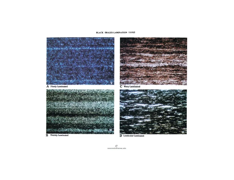 Mudrock Plays - What We Think We Know - Slide 70.jpg