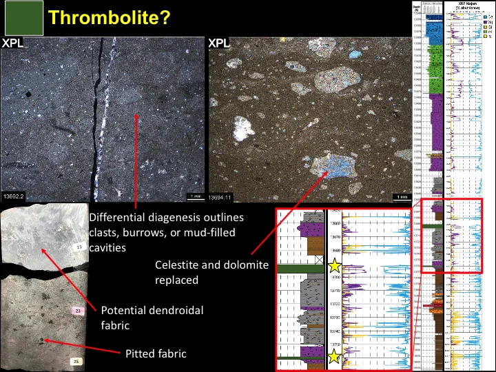 Peter Schemper Slide 17.jpg