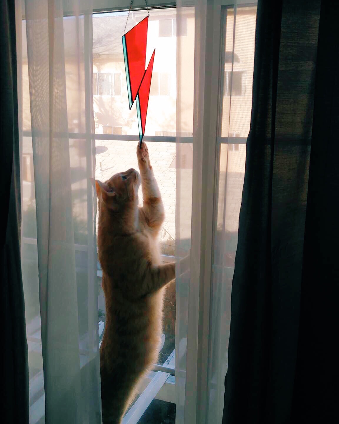 I made this special Bowie piece to remember Mr. David Bowie. I got some inquiries about ordering one so I decided to do a limited run on the piece. This one made it to it's new lovely home and I am in love with this picture that was shared with me because of Tyrion the cat, of course!