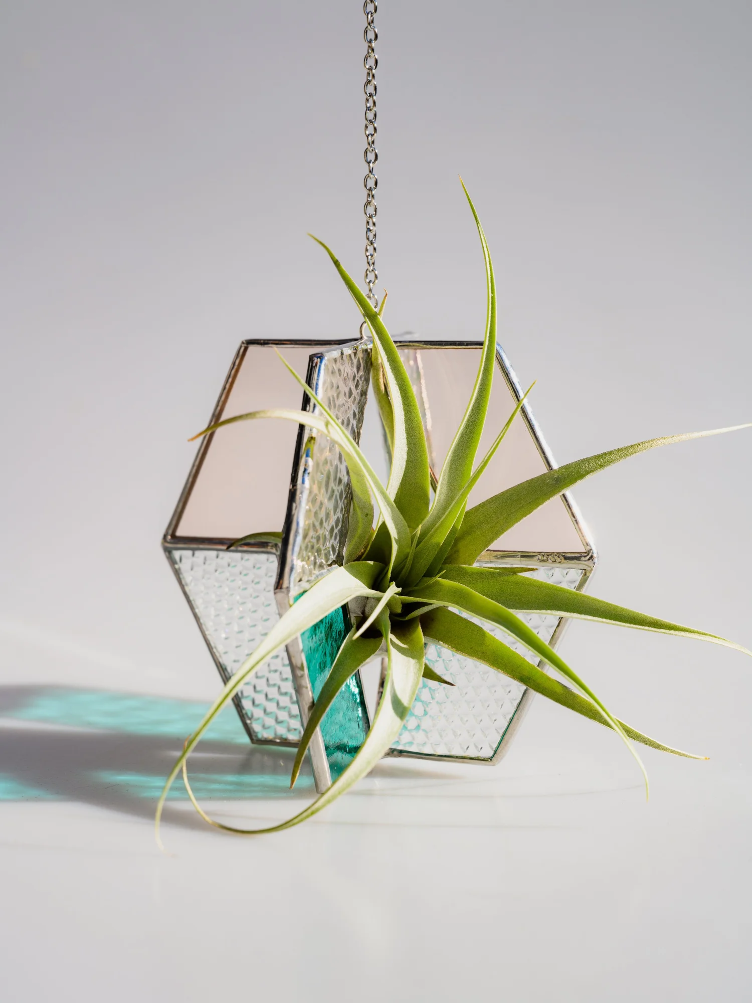 air plant hanging planter Handblown Glass Air Plant Holder main image 0
