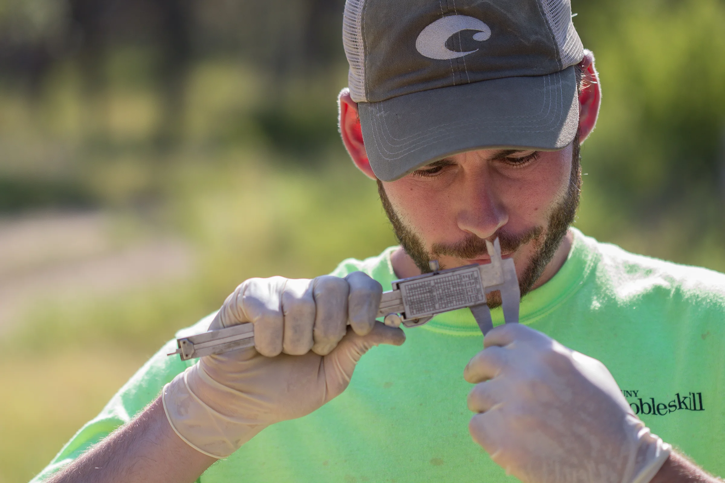 Ben taking measurements of a captured American Burying Beetle. 