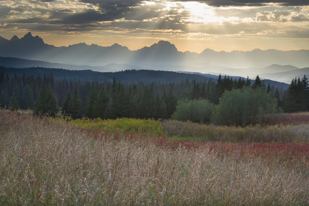 Best From the Road - Land and Water