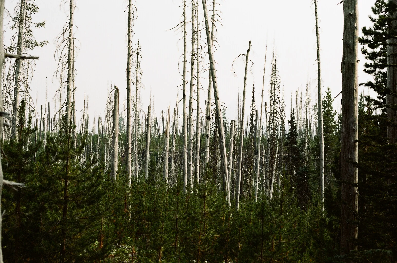 2970_19.jpg