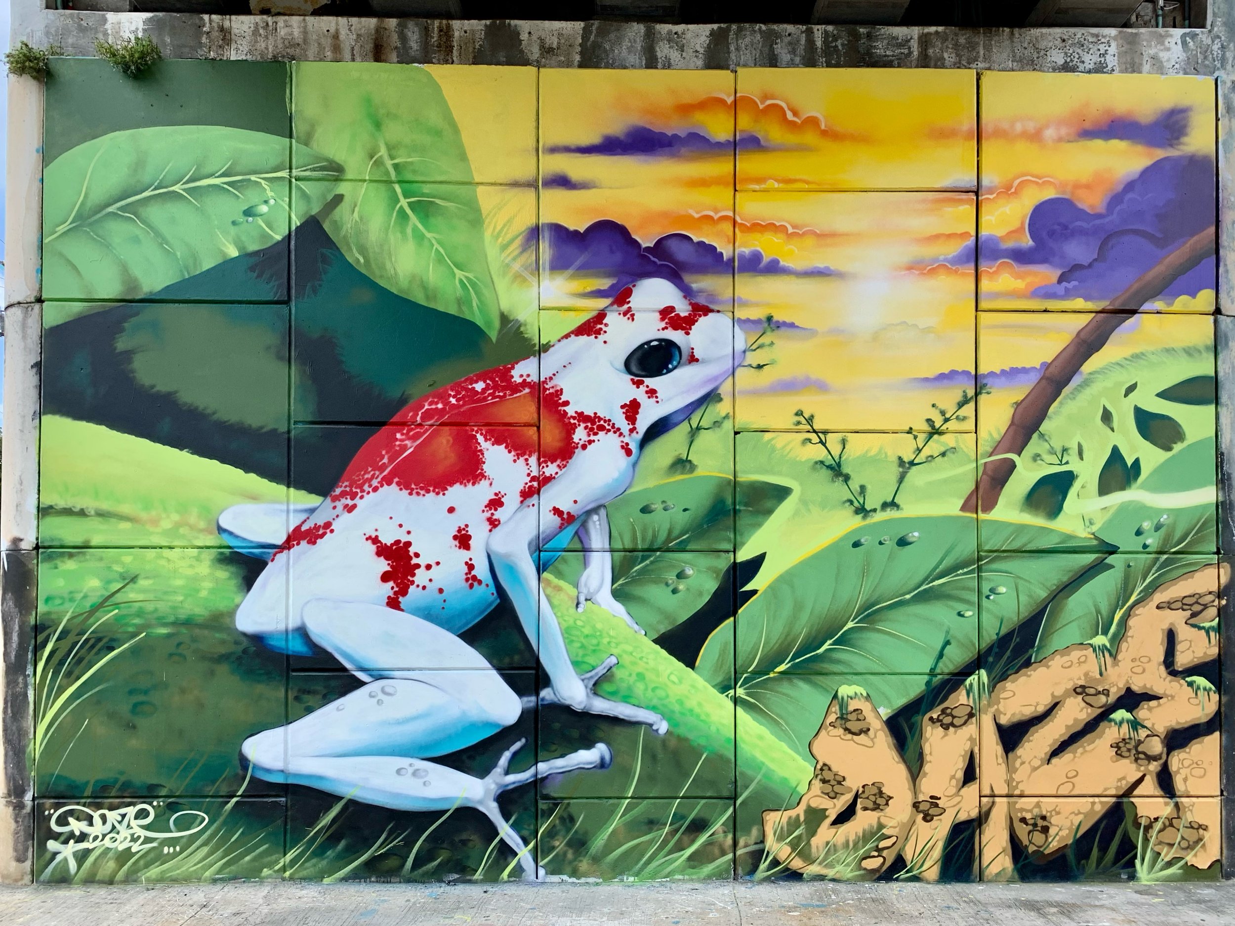  Akumal Arts Festival, Mexico 2022 