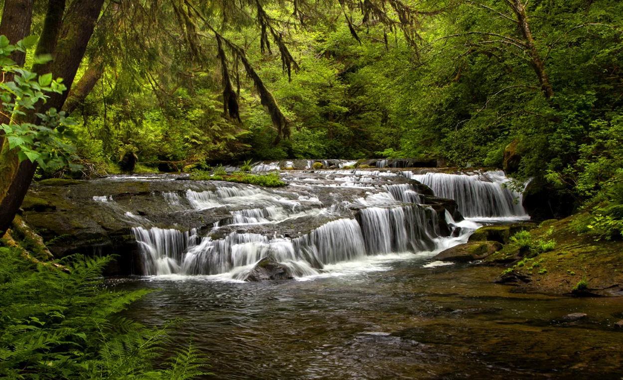 Photo #3+Sweet Creek Falls.jpg