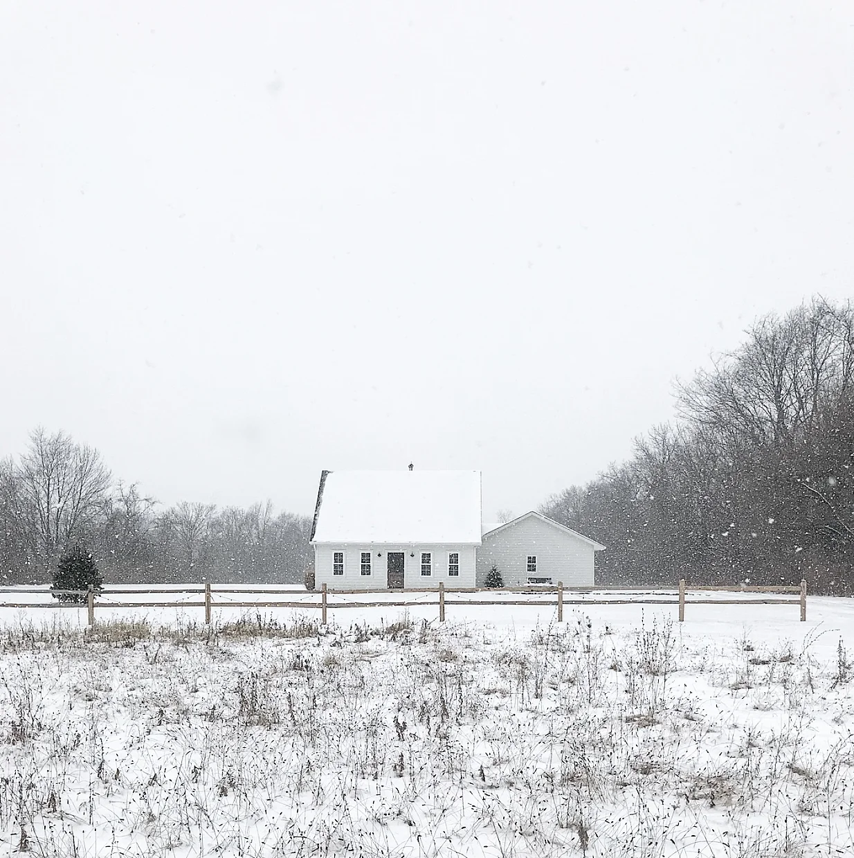 Featured Artist - Angie Wendricks 