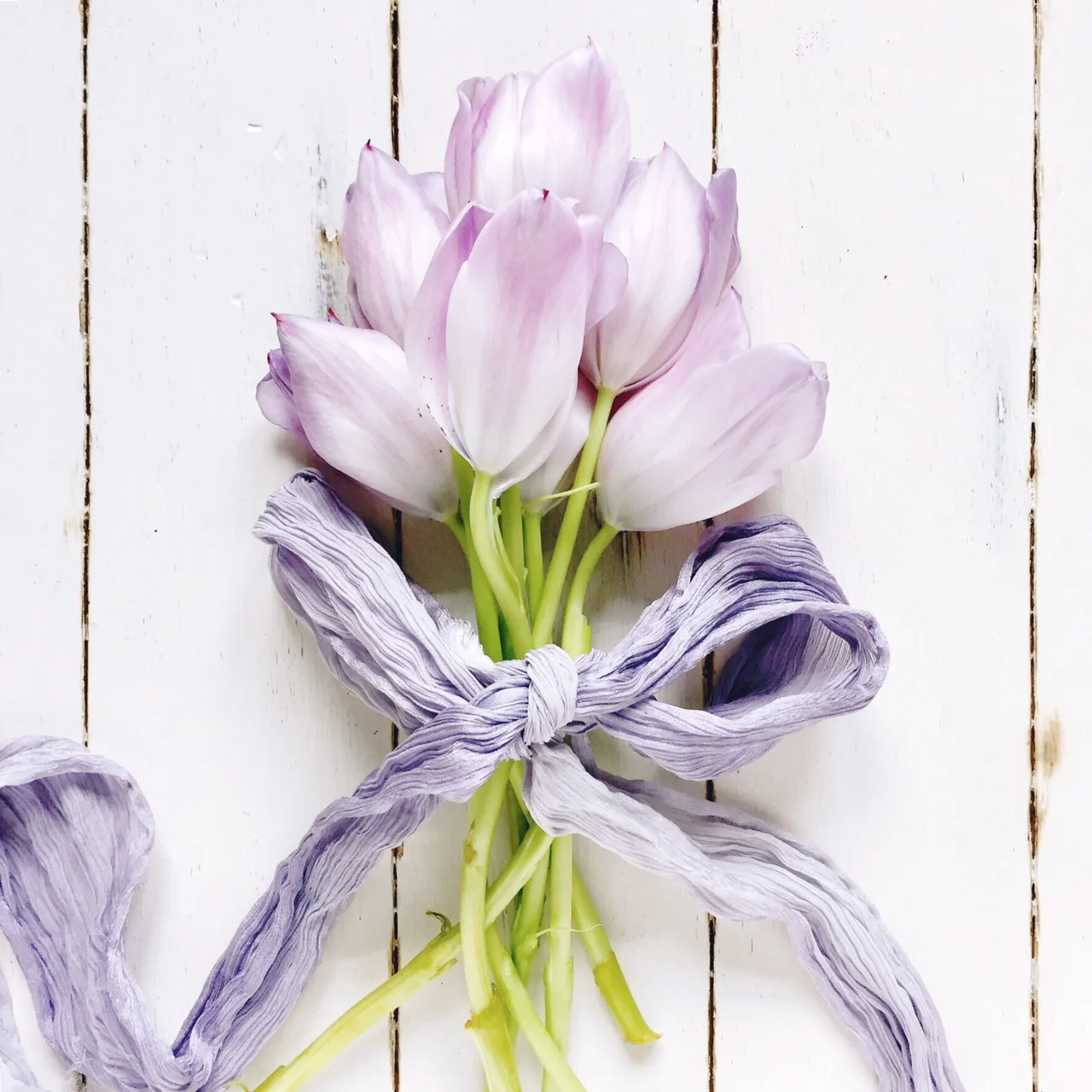 Featured Artist: Carol Sultz