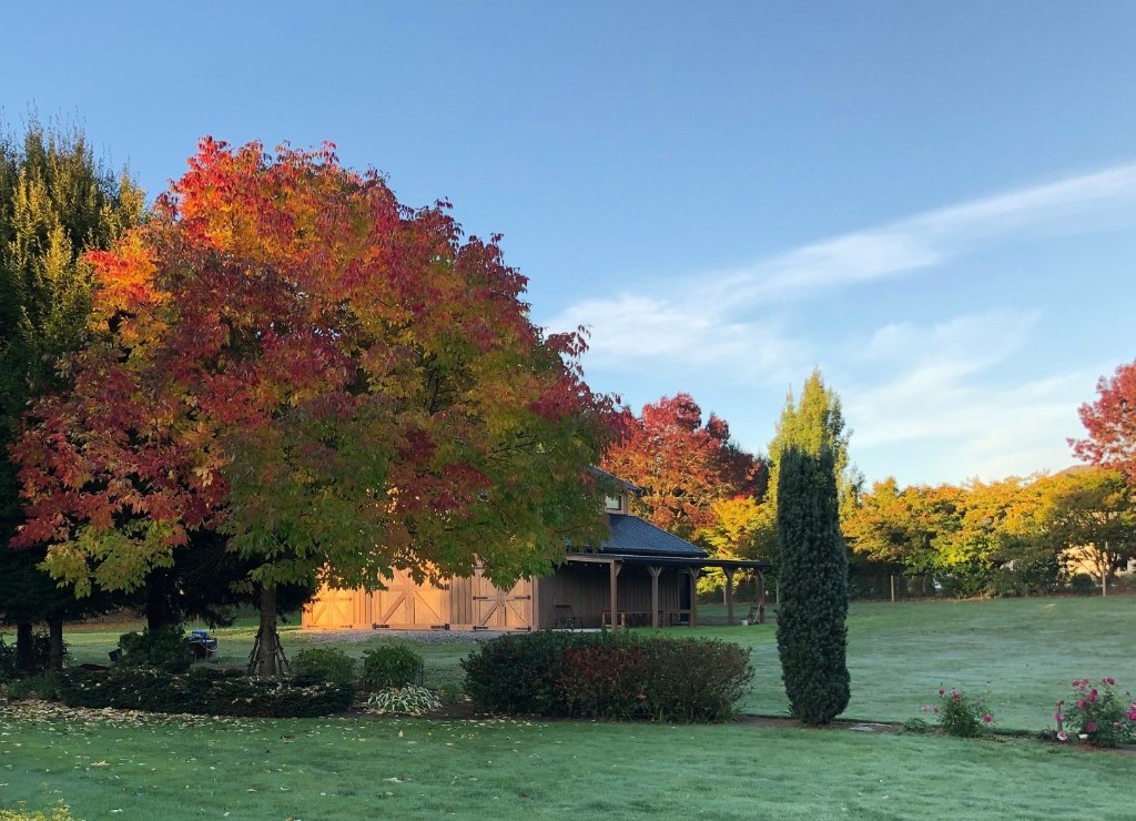 "Oh, Marilla," she exclaimed one Saturday morning, coming dancing in with her arms full of gorgeous boughs, "I'm so glad I live in a world where there are Octobers. It would be terrible if we just skipped from September to November, wouldn't it? Look at these maple branches. Don't they give you a thrill--several thrills?” ― L.M. Montgomery, Anne of Green Gables