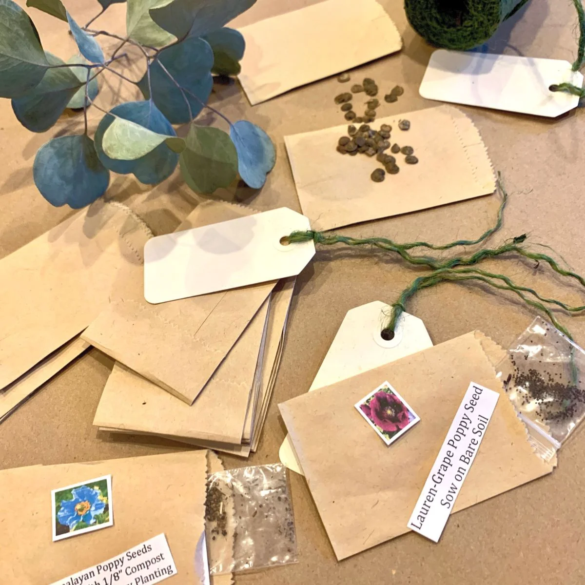 Garden Seeds.jpeg