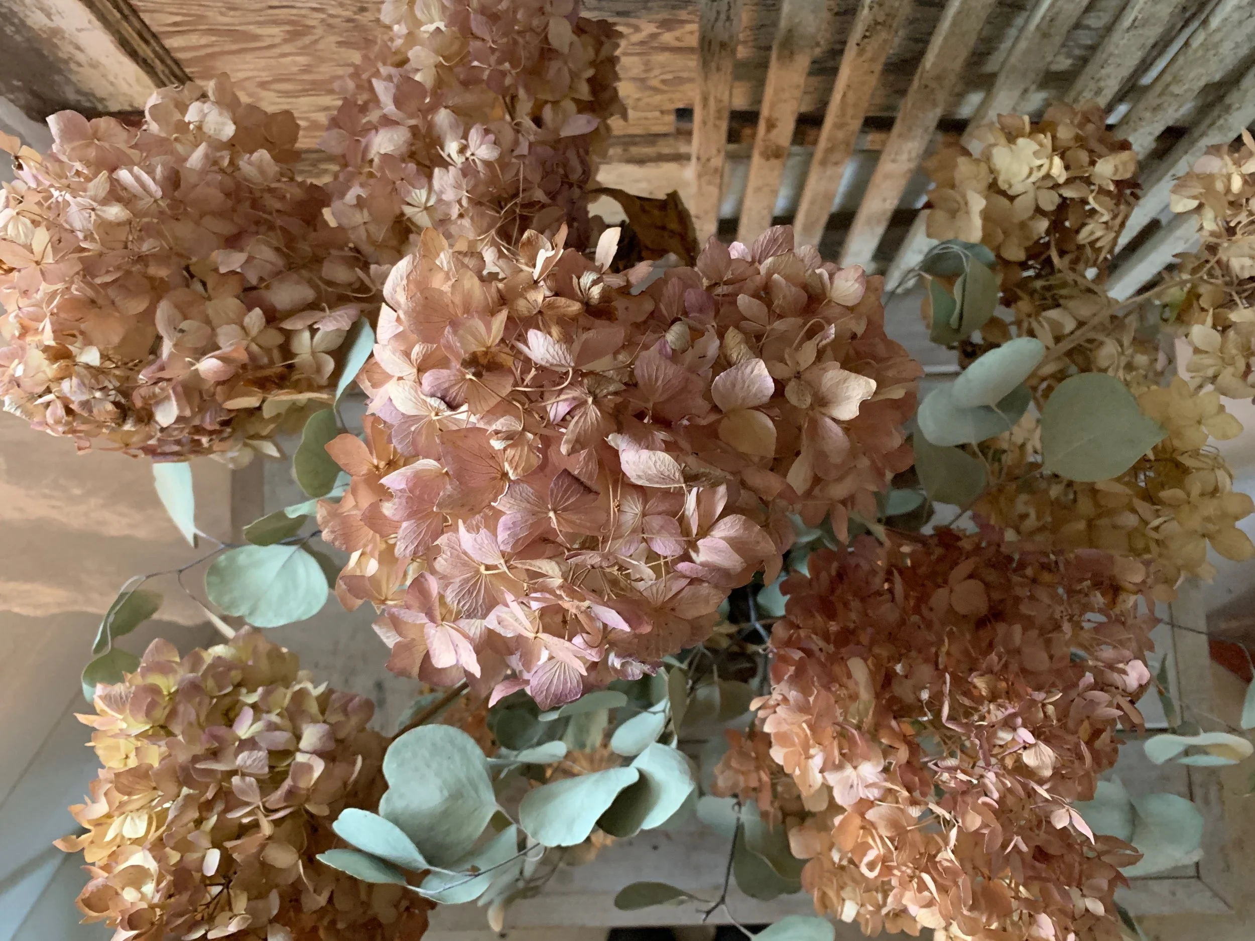 Some Days You Just Need to Sweep the Bugs