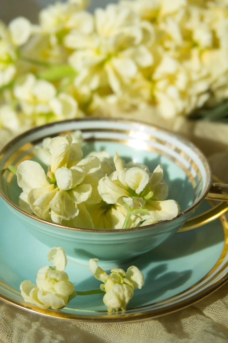 FlowersTeaCup.jpg