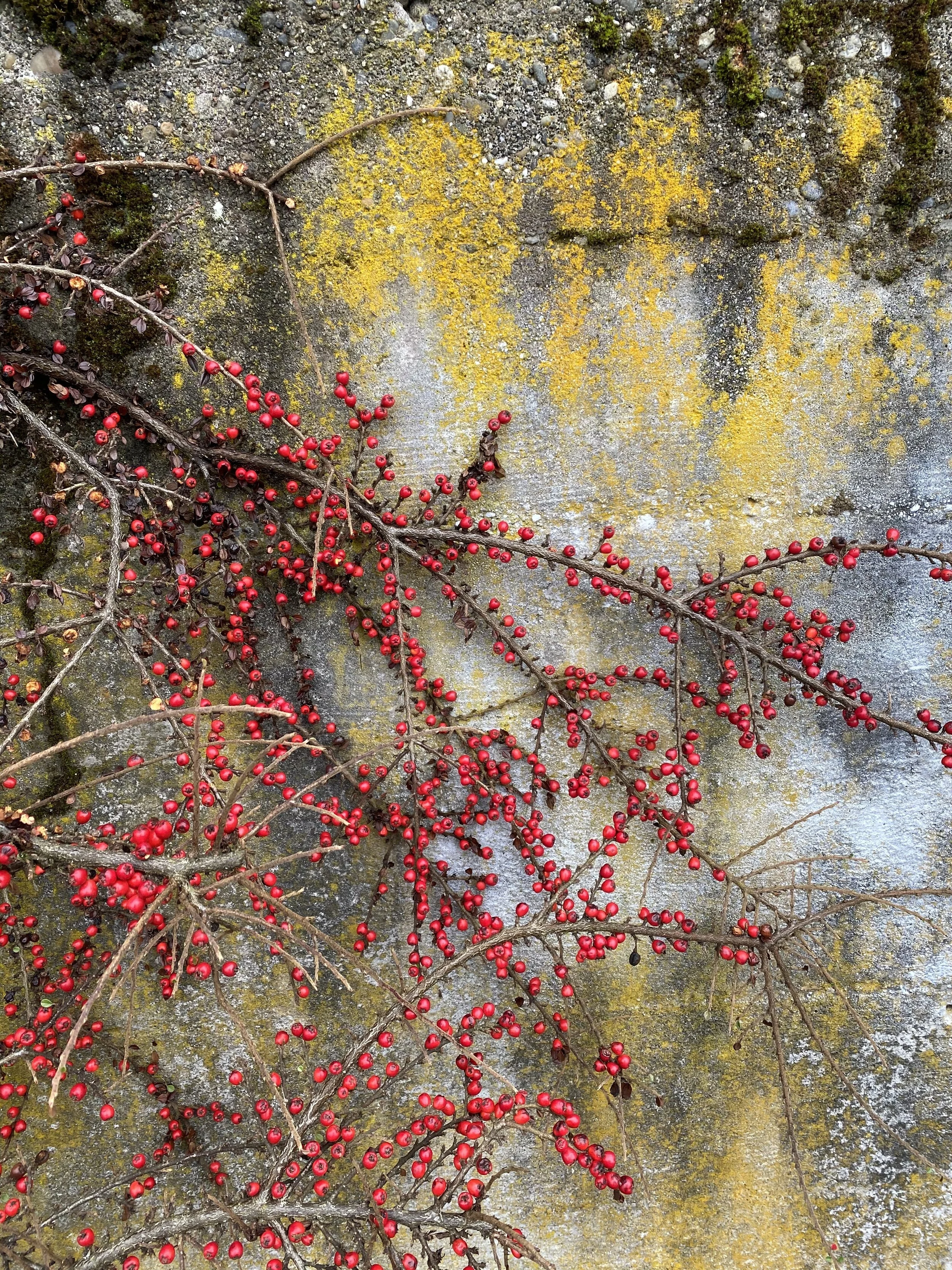 Winter Decorating and Activities for January 