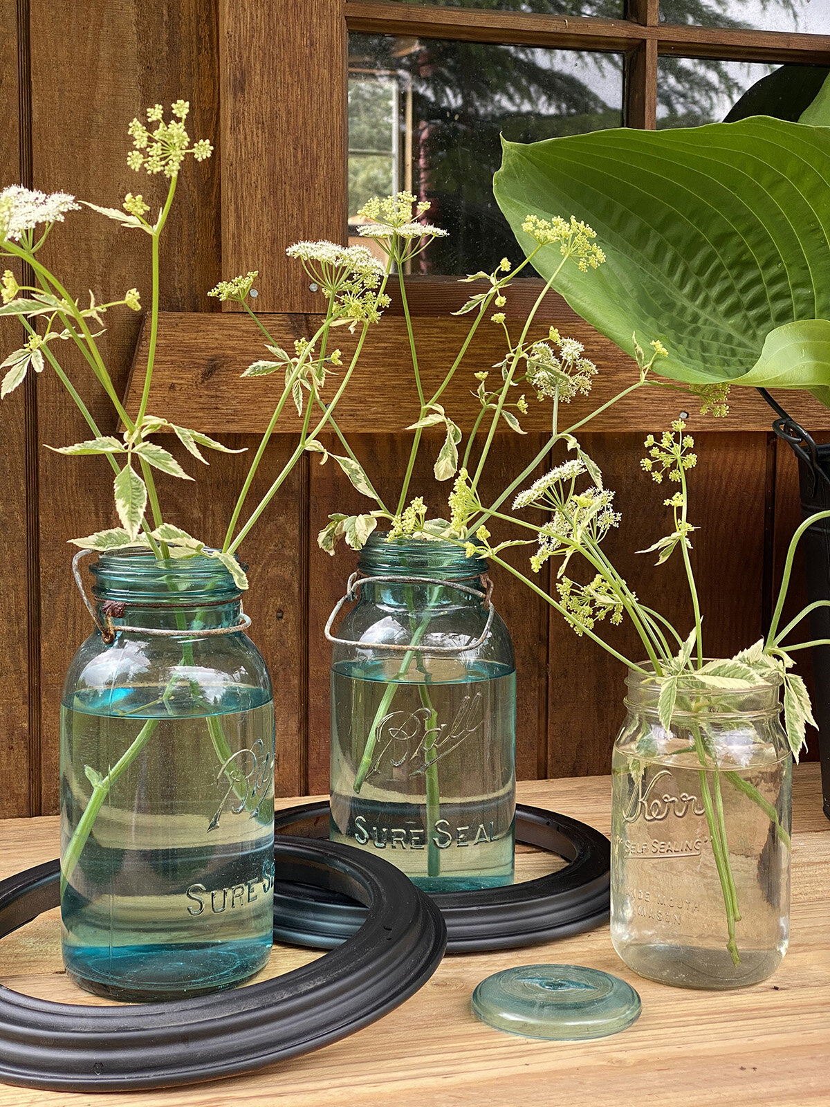 styling2cplants2cdiy2cgardenshedmakeover2cdiy2cplanterideas2cgardening2cpaint2cgardenshedmakeover2cbefore2cmadeon23rd-2 Styling, Pflanzen, DIY, Gartenhaus Makeover, DIY, Pflanzer Ideen, Gartenarbeit, Farbe, Gartenhaus Makeover, vor, madeon23rd.blog2jpg1200.1200.jpg