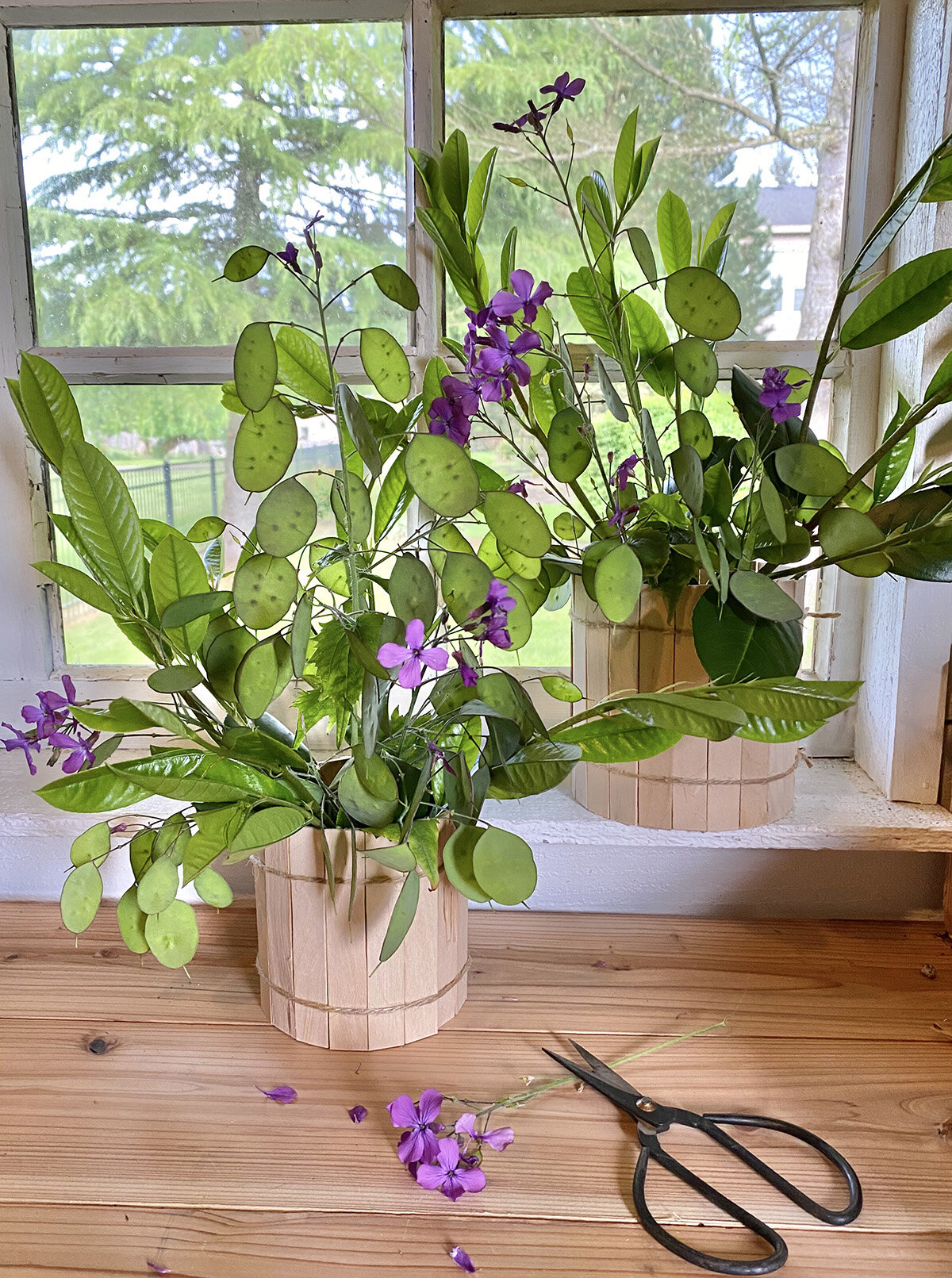 diy2cplanterideas2cgardenshedmakeover2cdiy2cplanterideas2cgardening2cpaint2cgardenshedmakeover2cbefore2cmadeon23rd DIY, Pflanzer Ideen, Gartenhaus Makeover, DIY, Pflanzer Ideen, Garten, Farbe, Gartenhaus Makeover, vor, madeon23rd.blog, 1200.jpg6.blog8jpg1200.1200.jpg