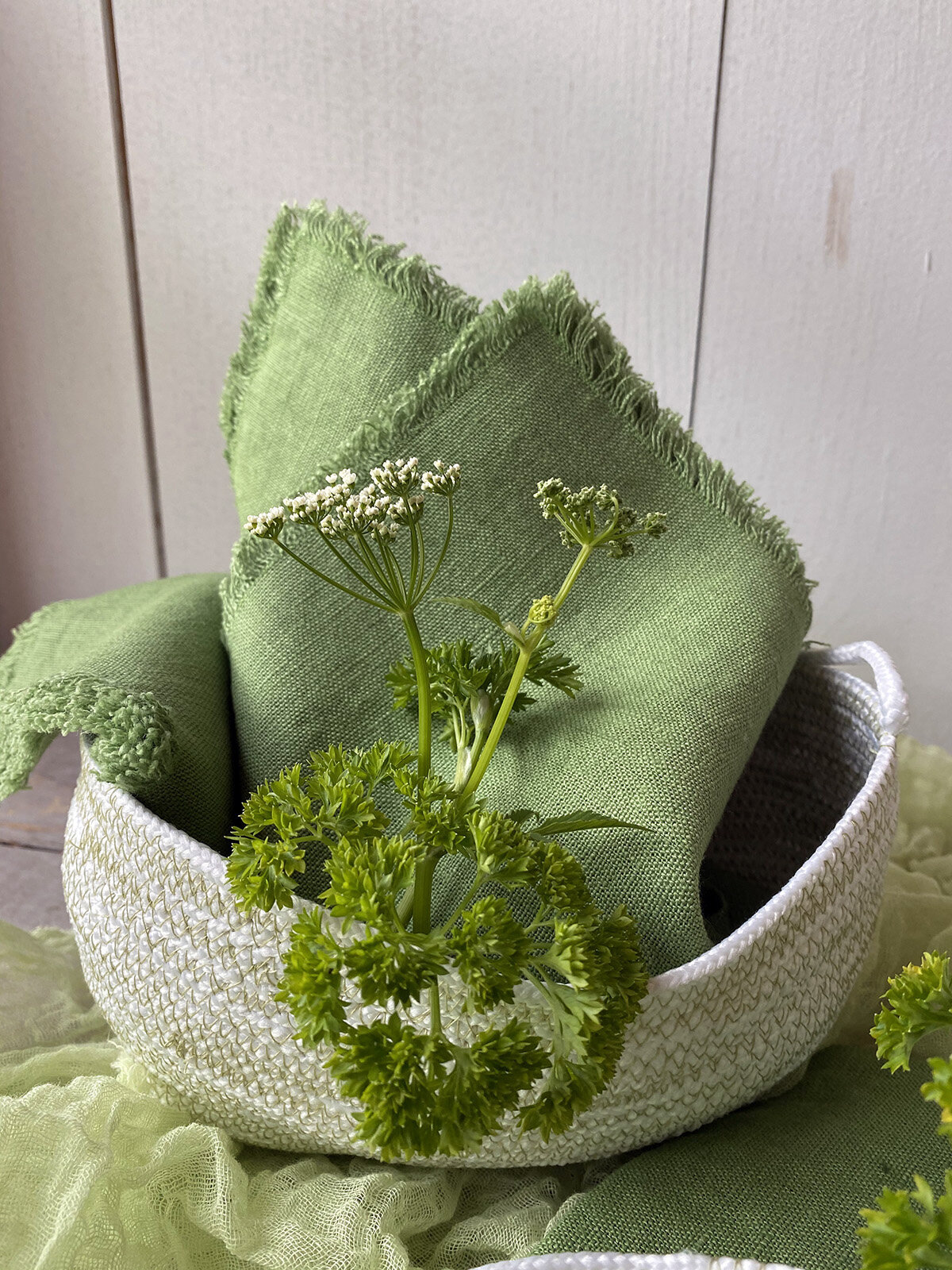 ropebaskets2clinennapkins2cdiy2cgardenshedmakeover2cdiy2cplanterideas2cgardening2cpaint2cgardenshedmakeover2cbefore2cmadeon23rd-3 Seilkörbe, Leinenservietten, DIY, Gartenhaus Makeover, DIY, Pflanzer Ideen, Gartenarbeit, Farbe, Gartenhaus Makeover, vor, madeon23rd.blog3jpg1200.1200.jpg