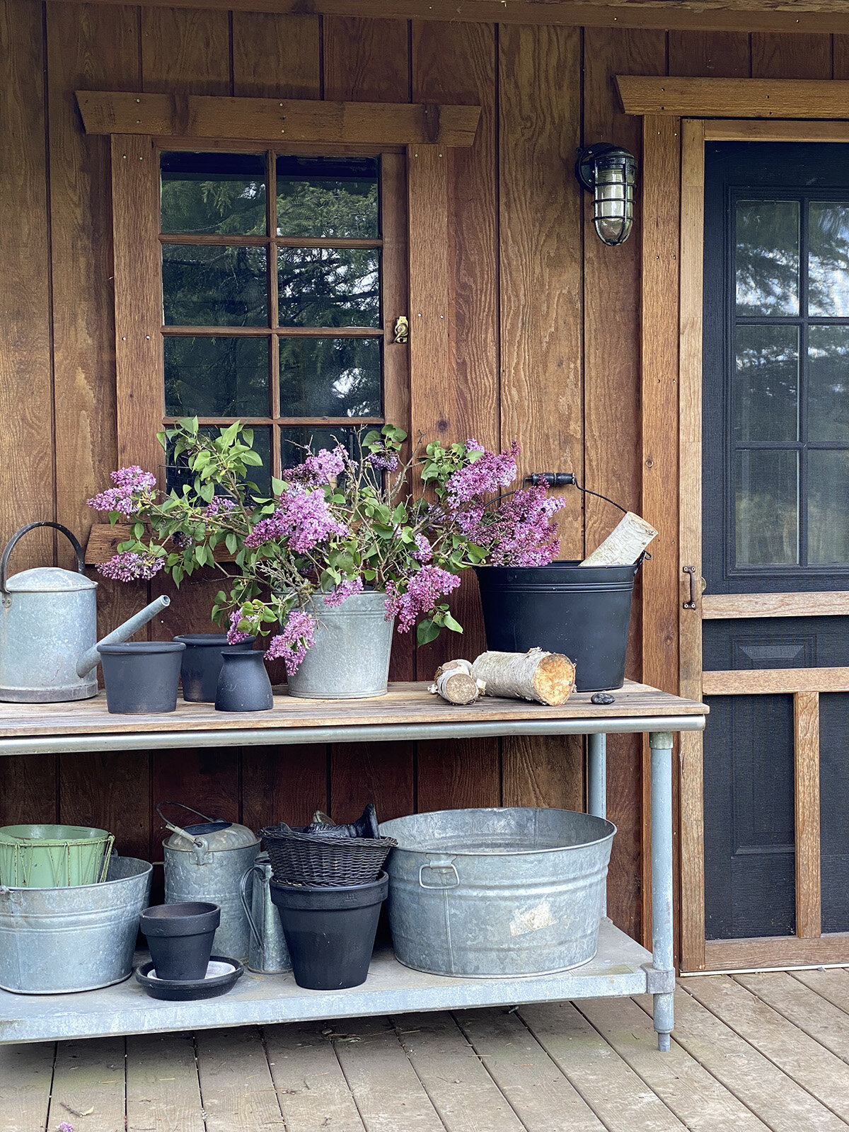 Lilacs and Garden Shed Makeover..madeon23rd.blog.31200.jpg