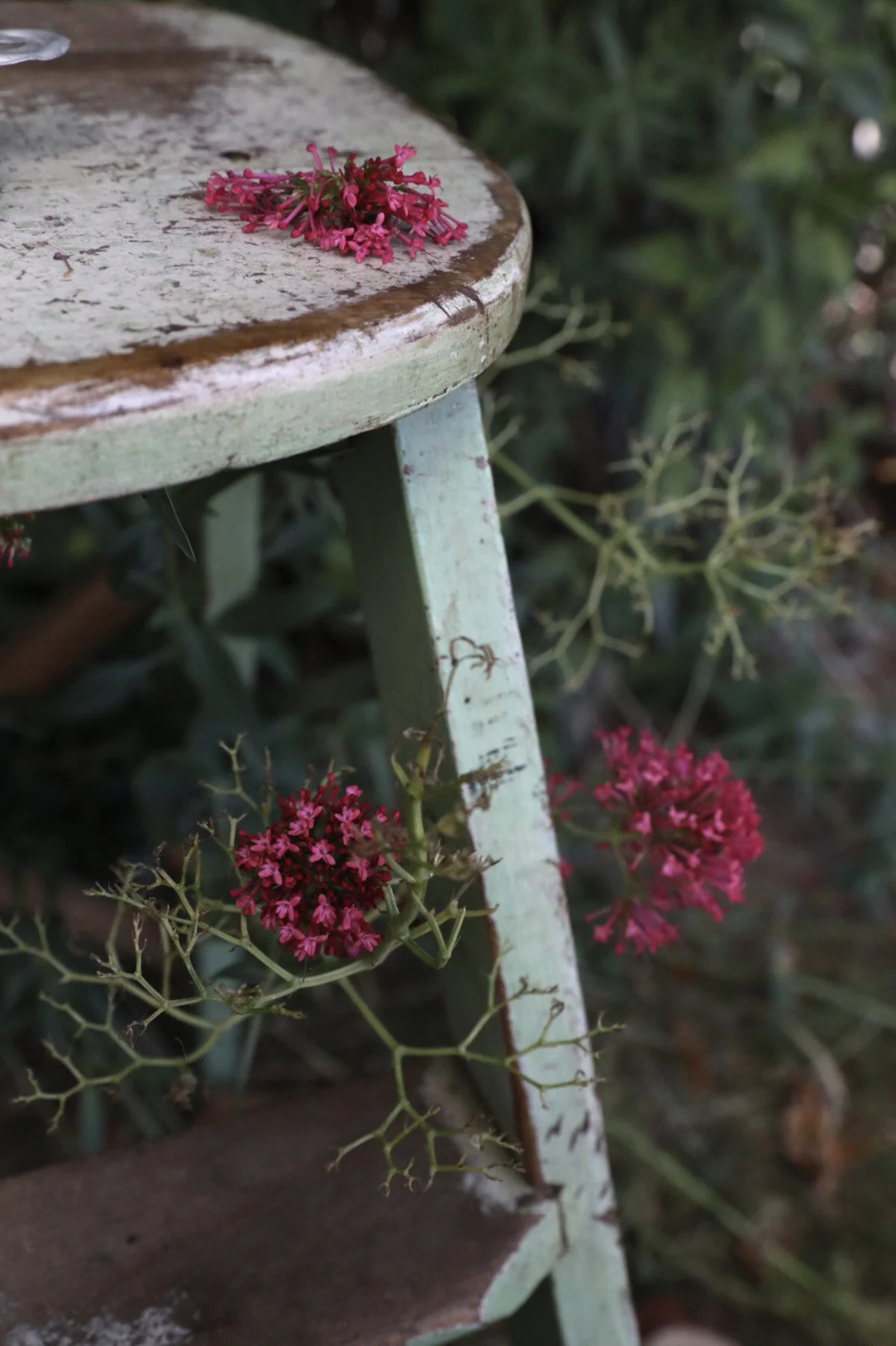 Tea Time.vintage.chair.madeon23rd.blog111200.jpg