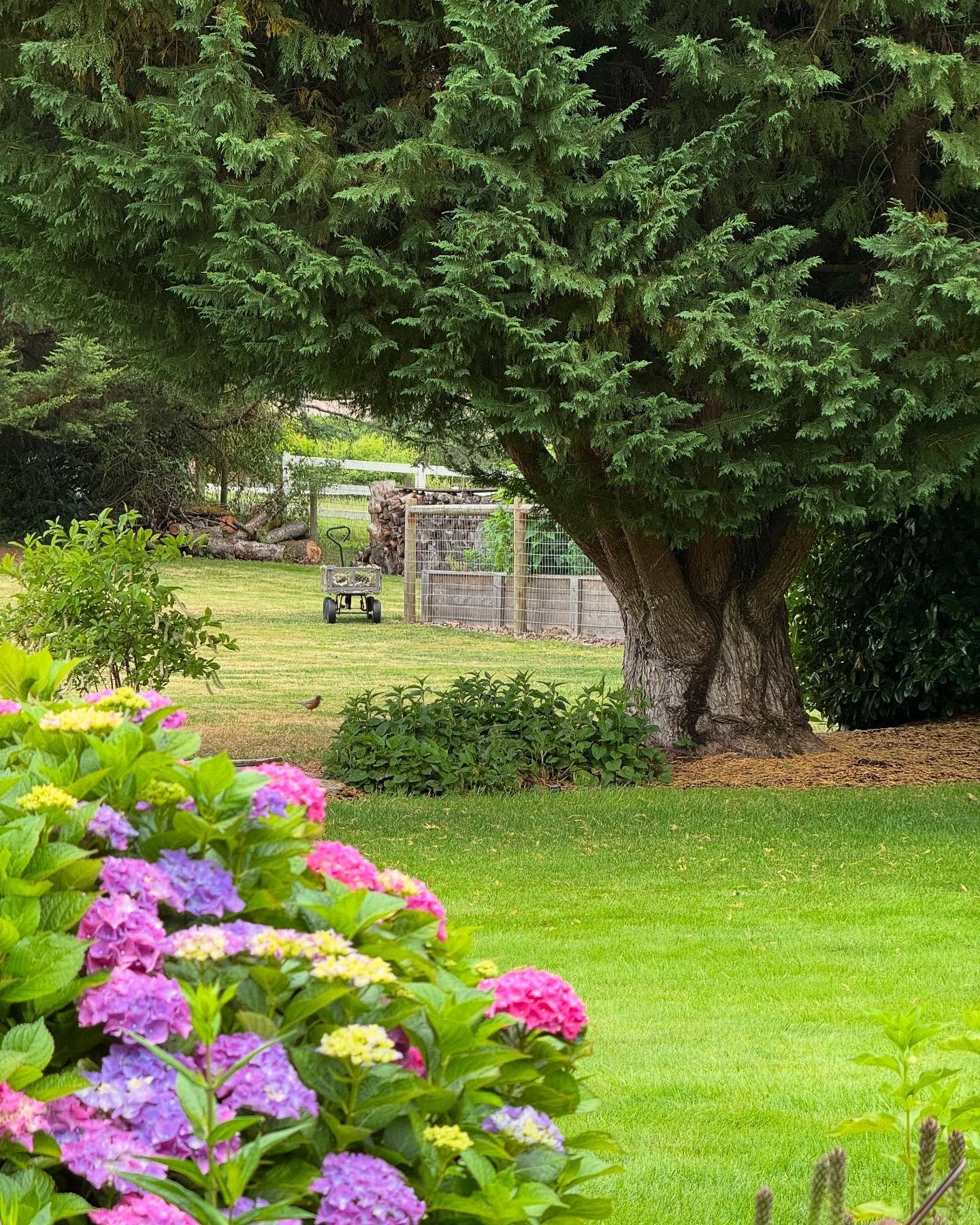 What would we do without garden wagons? We use them every day! Functional and cute!