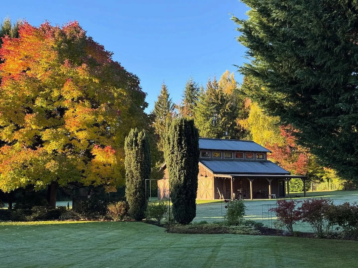 Fall colors are 😍 today!