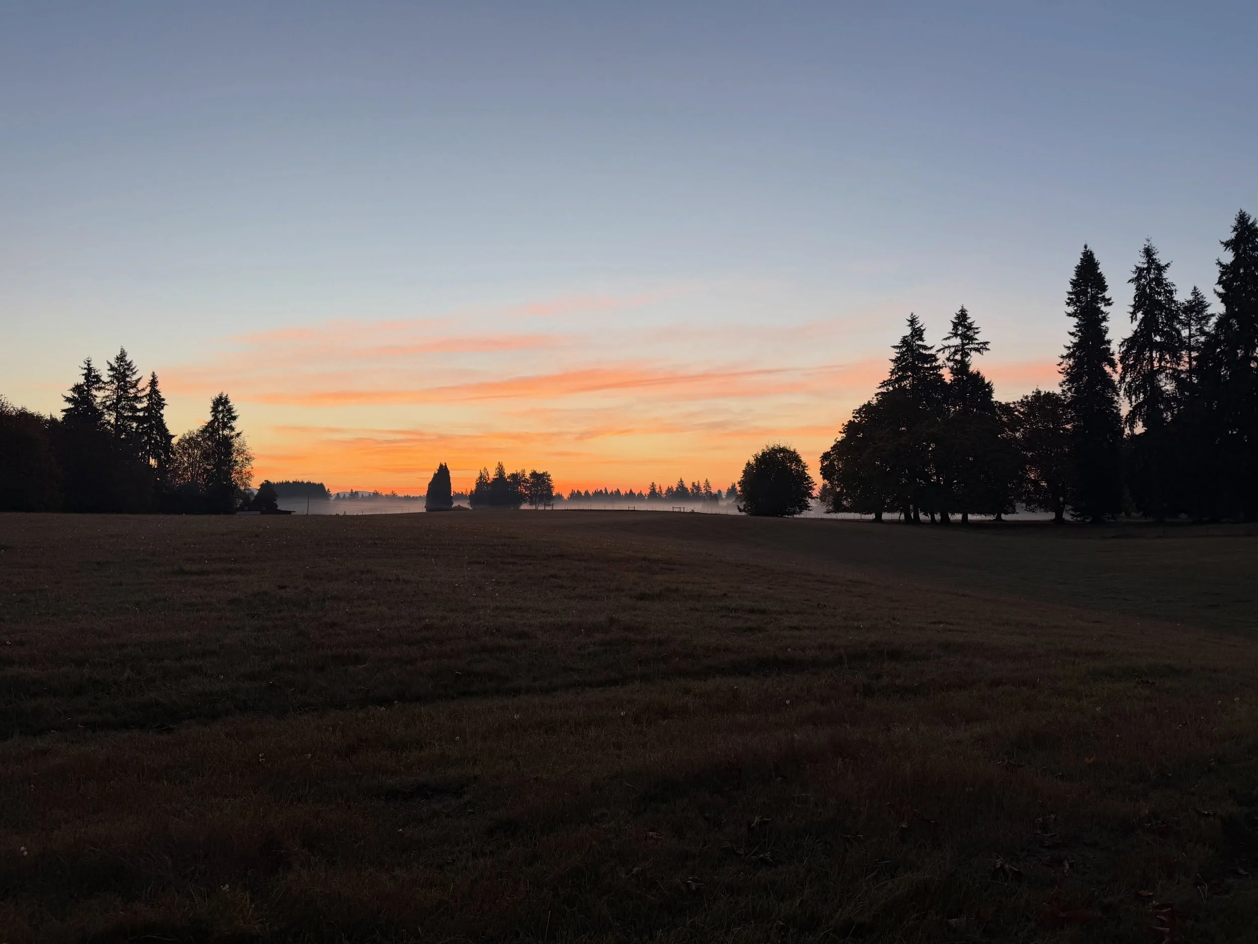 Feeling lucky to enjoy the sunrise with friends while walking in the woods this morning!