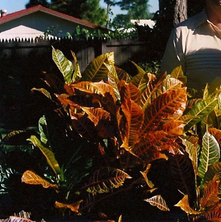 brightbabecrop2.jpg
