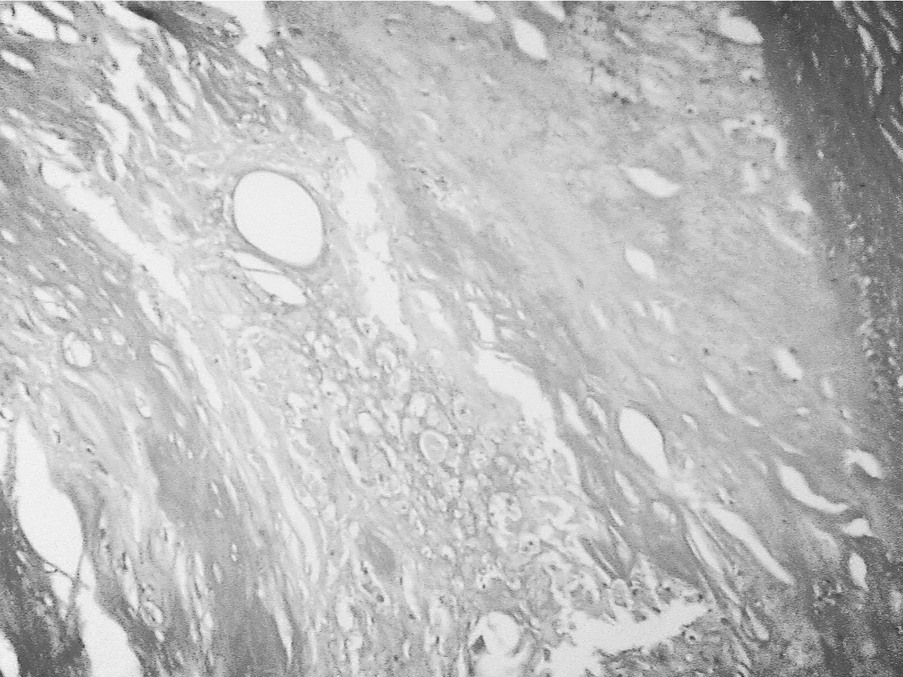 Episode #6 - Enrique Saez (Part 2) - You may not be able to go big, but you can go different..