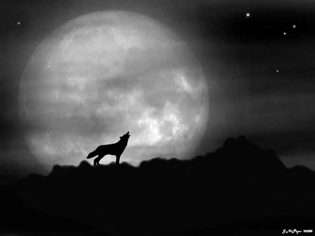 Full_Moon_Howl.jpg