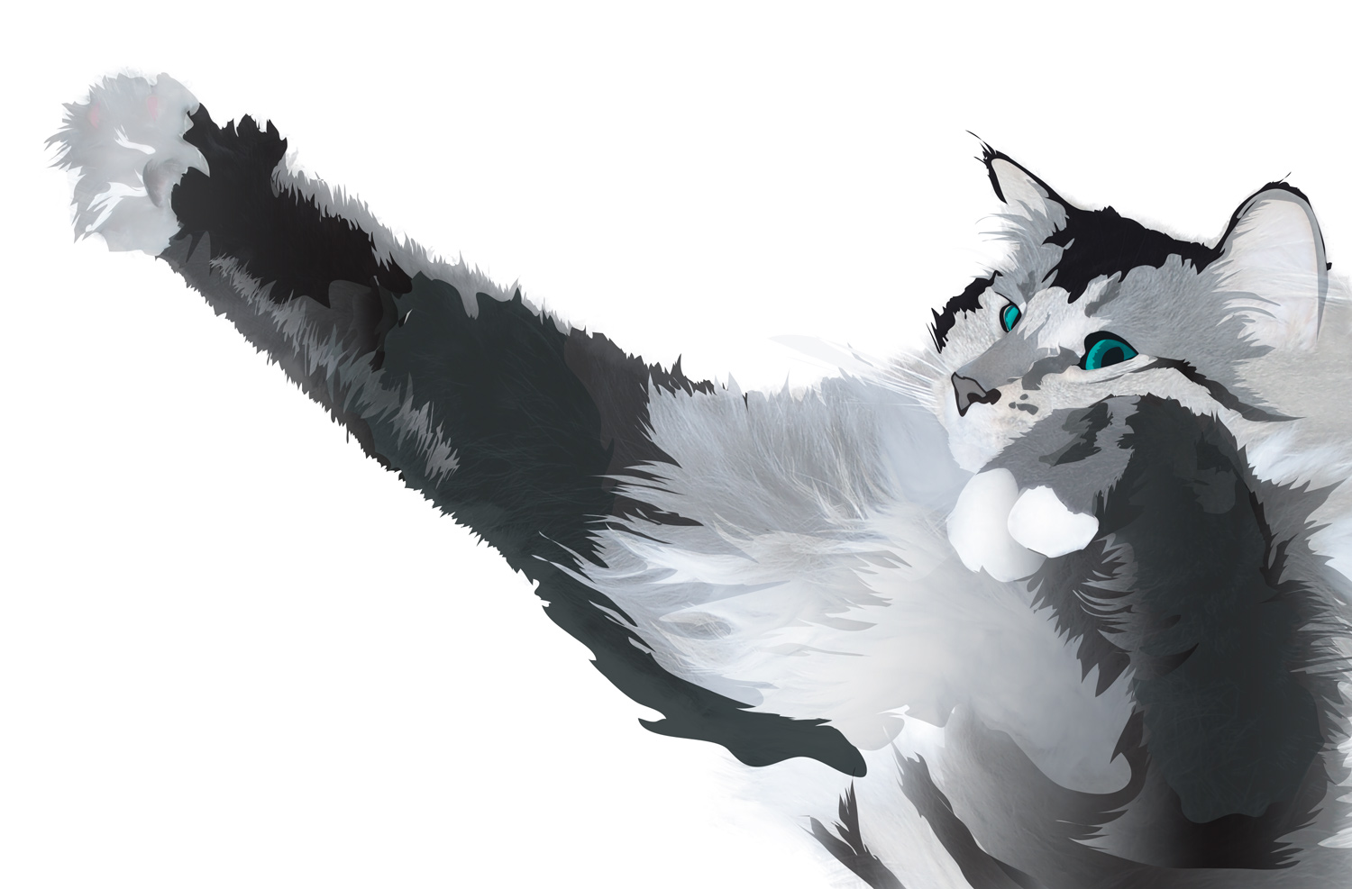 Lune.jpg