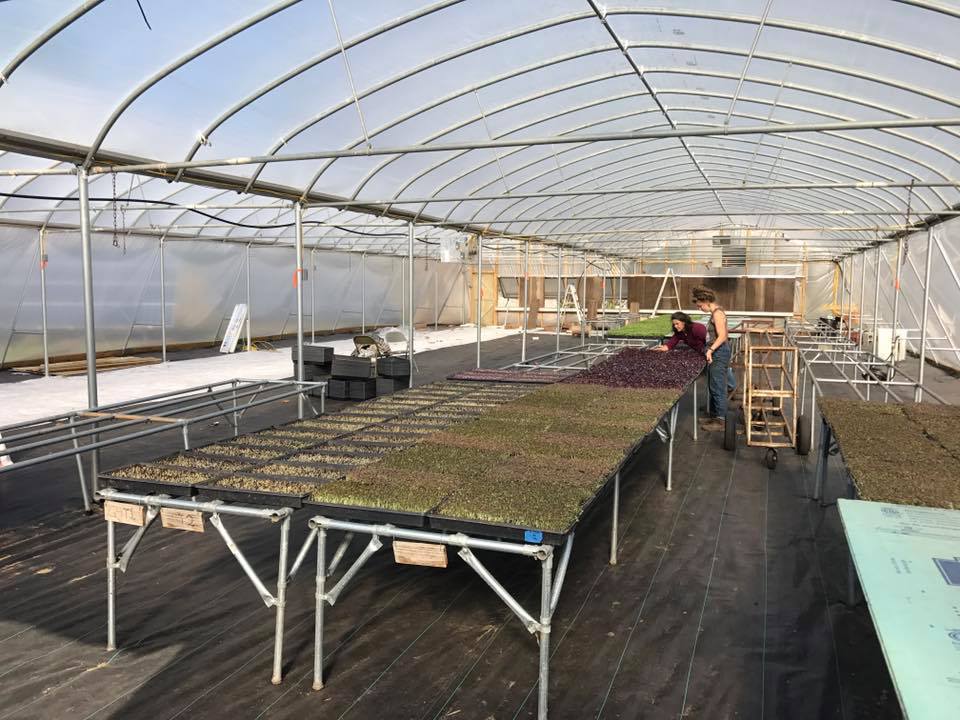 A 5,000 square foot new home for more microgreens, edible flowers, herbs and flower transplants