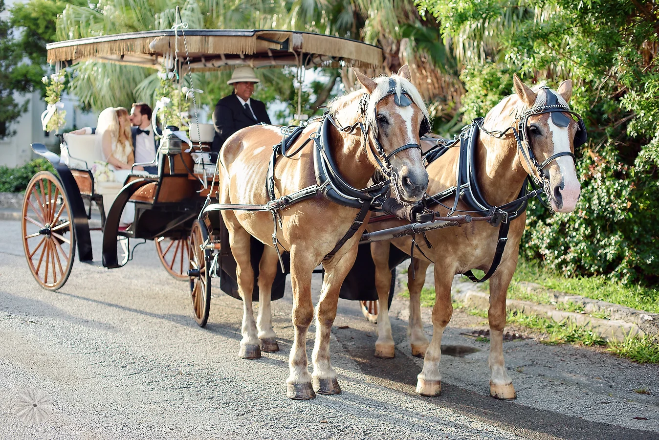 horseandbuggycariandrob.jpg