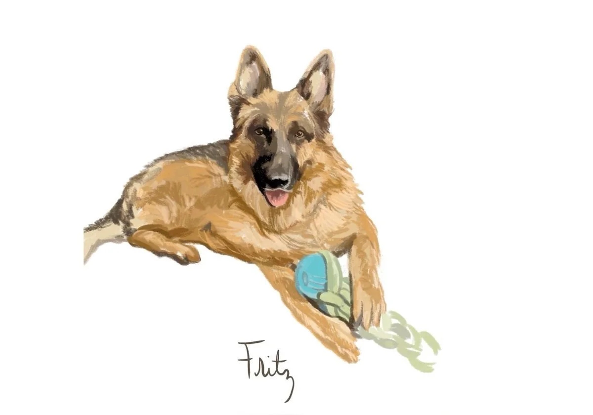dog7.jpg