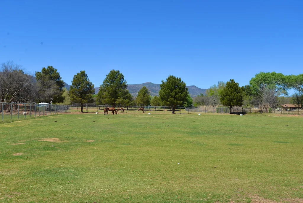 DSC_9394 - Version 2.jpg