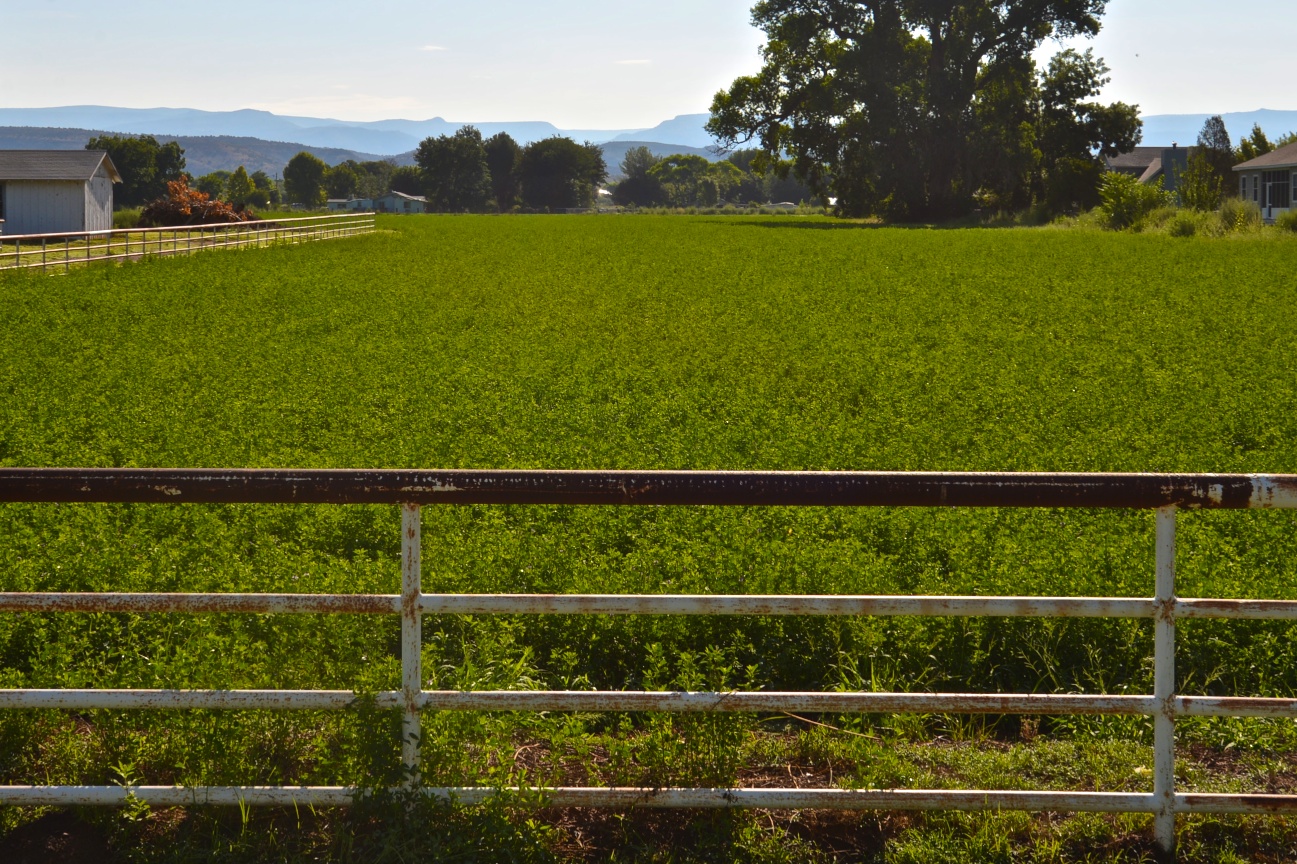 DSC_8651 - Version 2.jpg