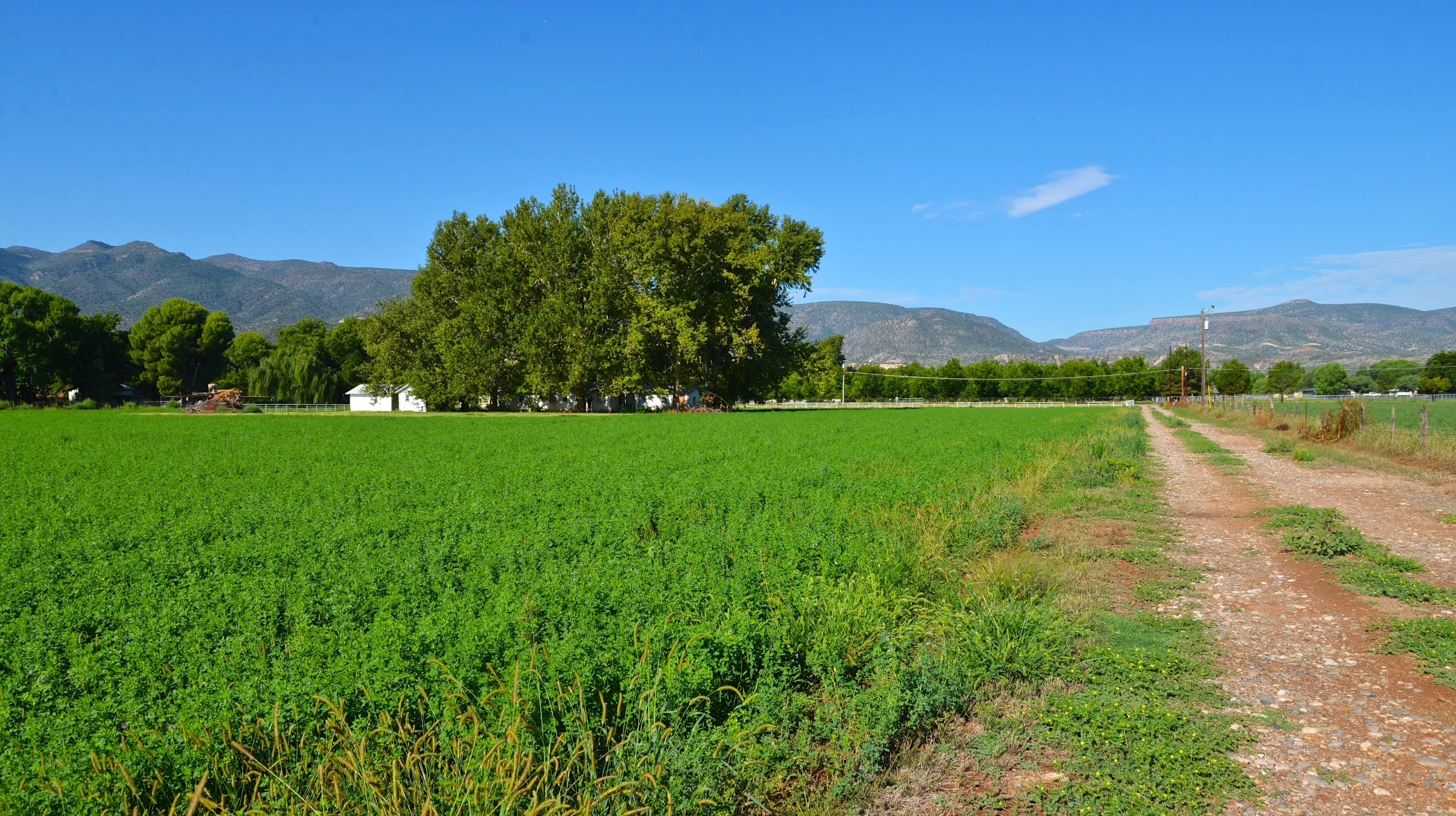 DSC_8673 - Version 2.jpg