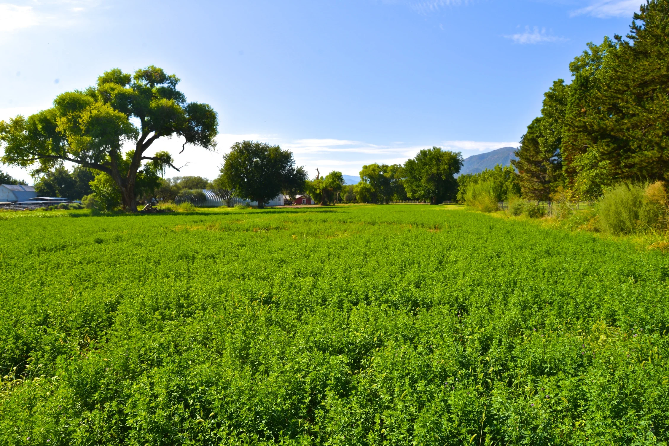 DSC_8686 - Version 2.jpg