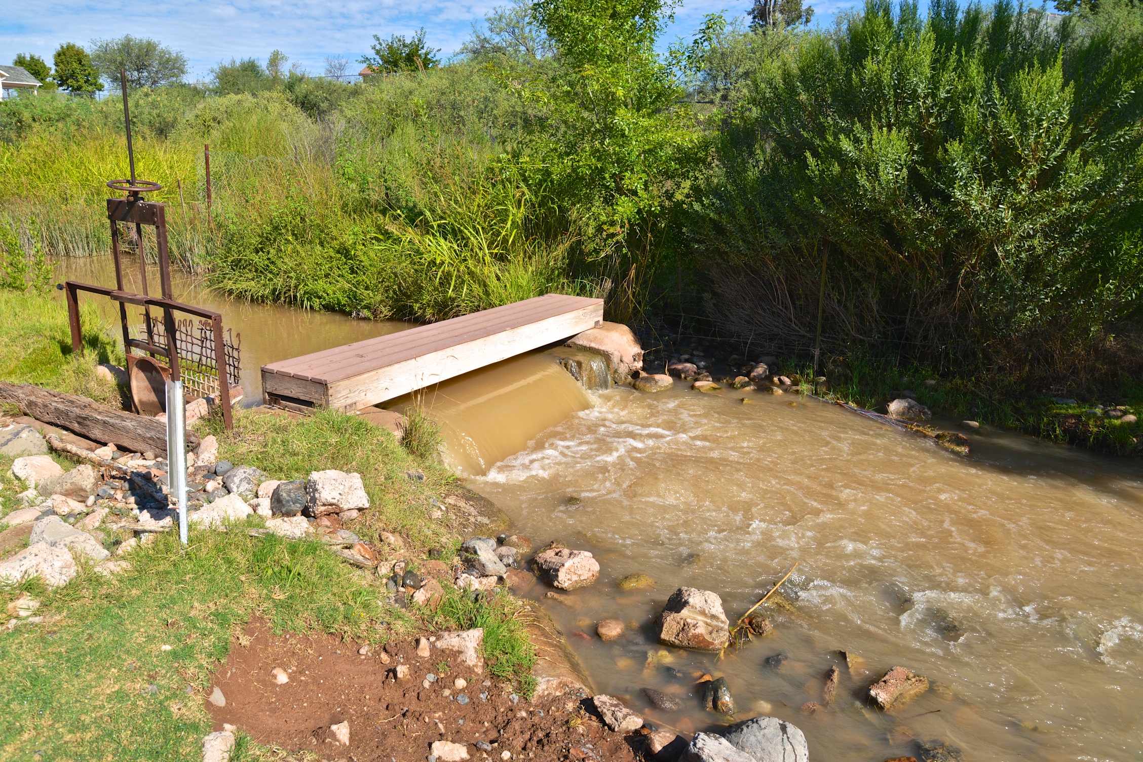 DSC_8698 - Version 2.jpg